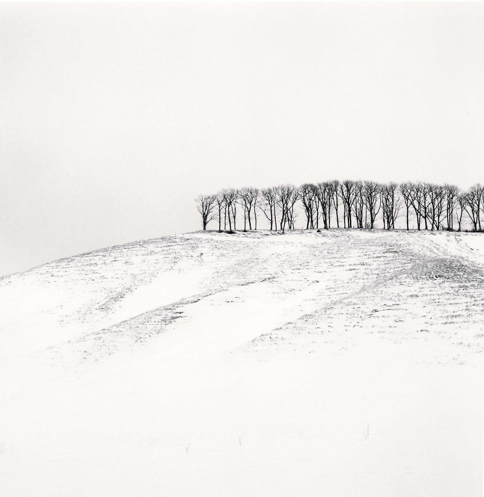 Michael Kenna Landscape Photograph - Hilltop Trees, Study 4, Teshikaga, Hokkaido, Japan. 2016