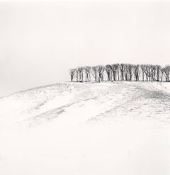 Hilltop Trees, Study 4, Teshikaga, Hokkaido, Japon, 2016