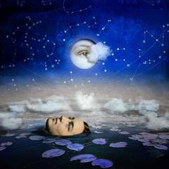 Star Gazer 2