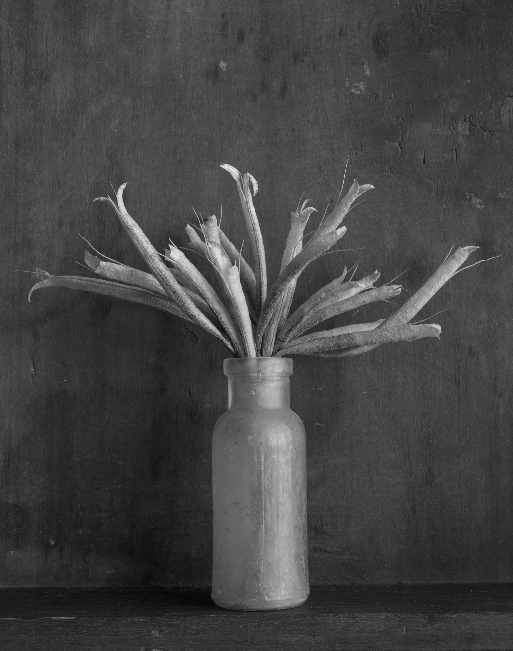  Bottle With Sharon's Seeds, black and white, still life photograph, signed, ltd