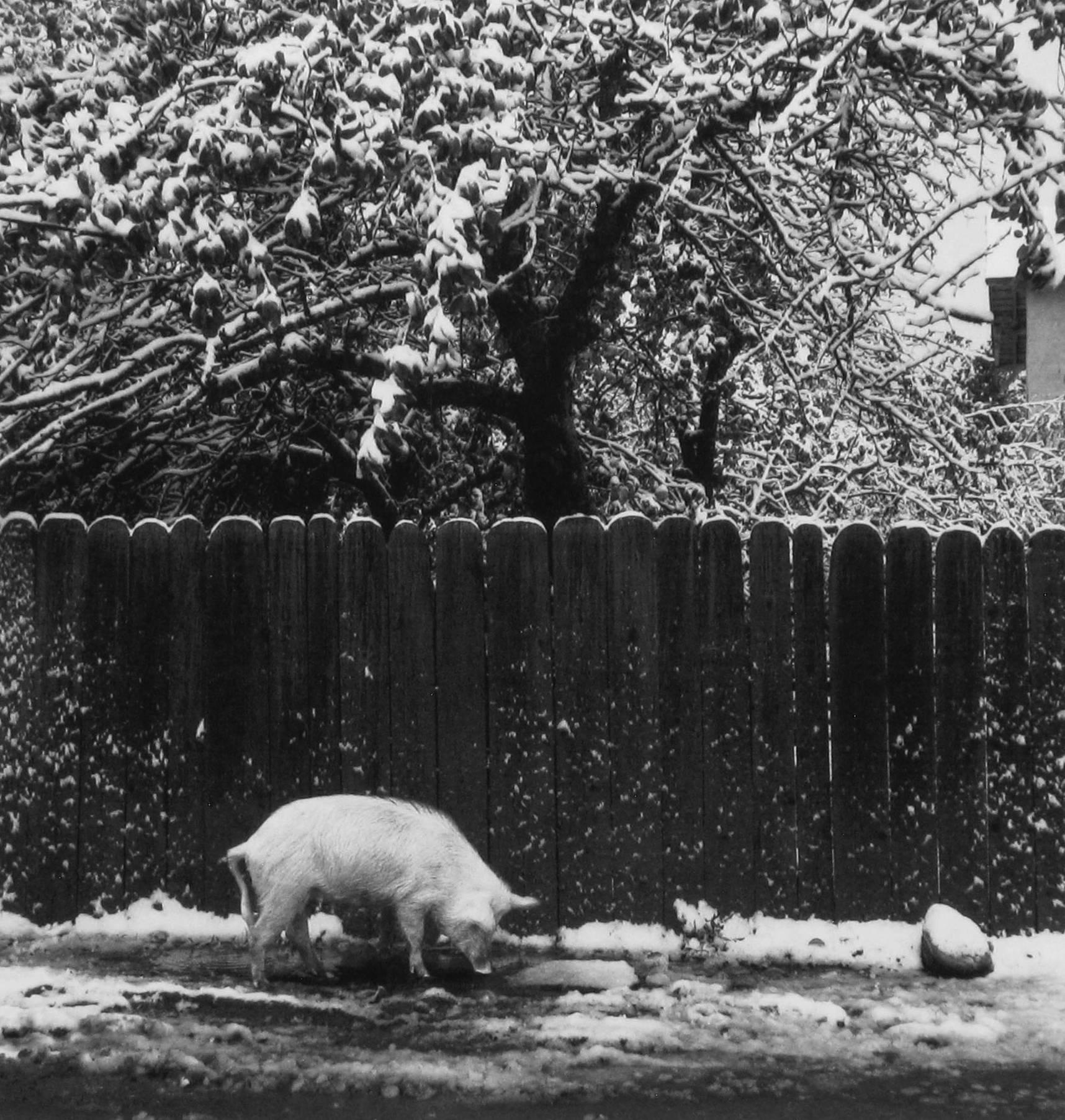 Pentti Sammallahti Black and White Photograph - Mestia, Georgia