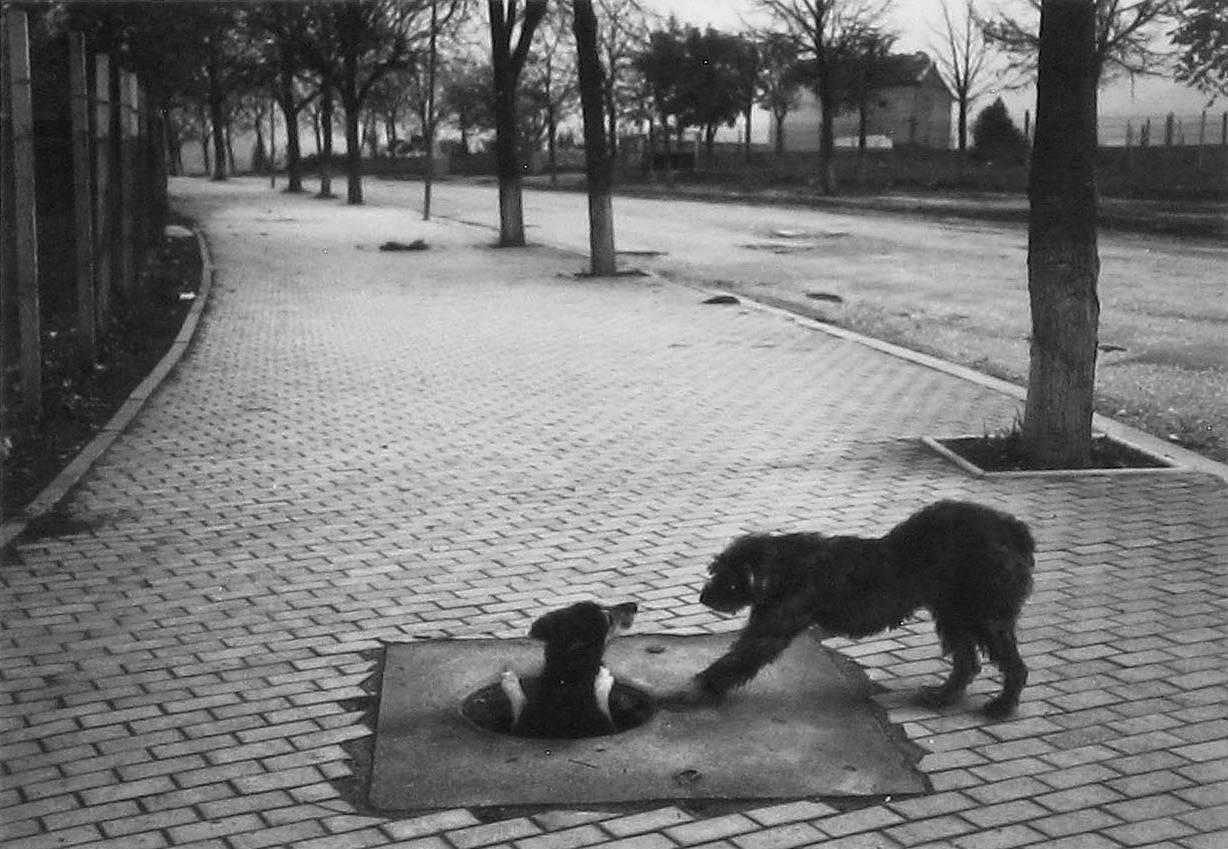 Pentti Sammallahti Black and White Photograph - Kukës, Albania