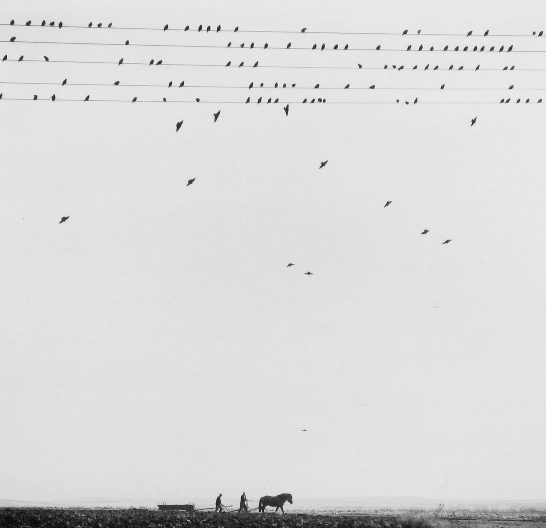 Pentti Sammallahti Black and White Photograph - Przeworsk, Poland