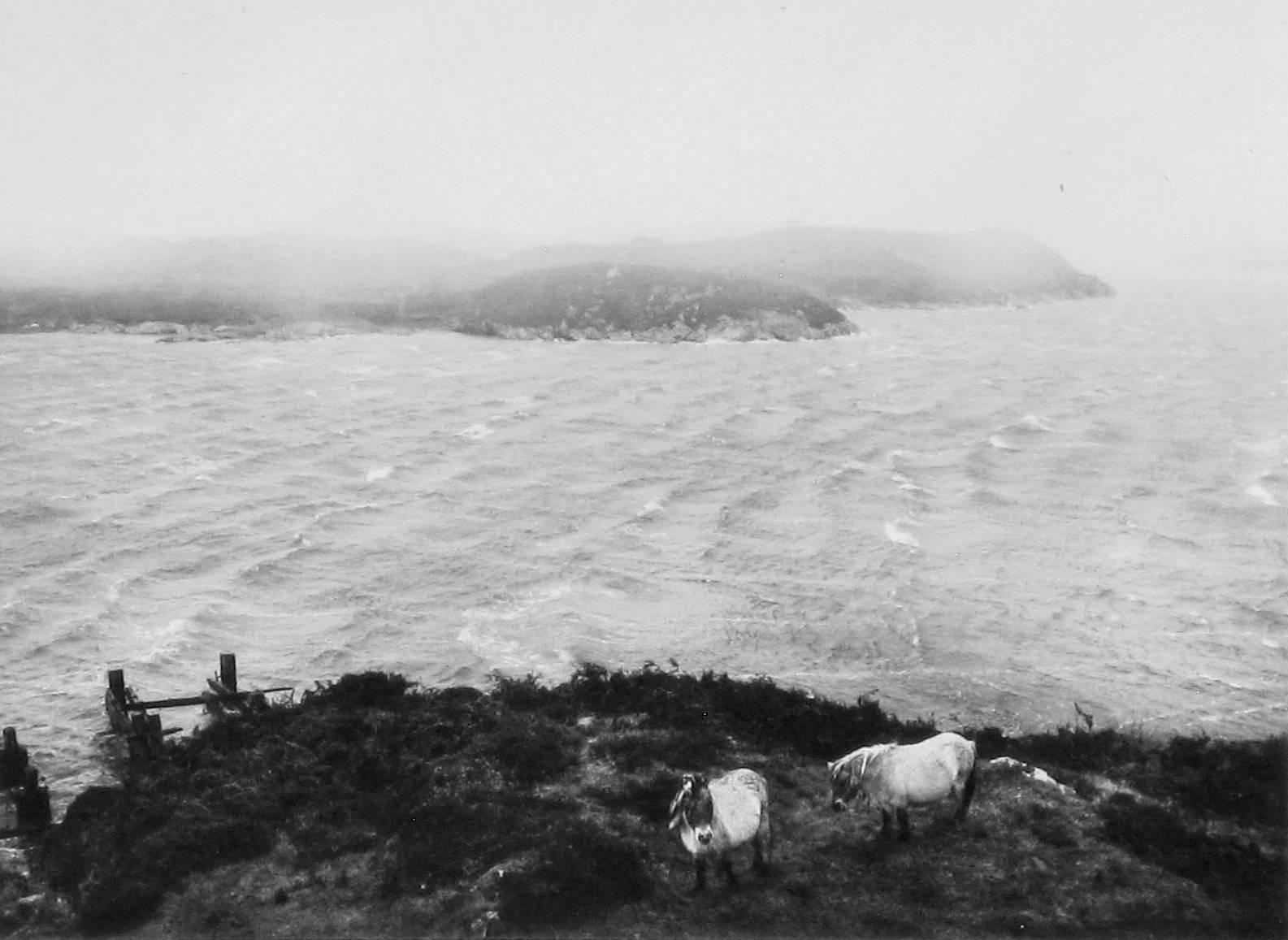 Black and White Photograph de Pentti Sammallahti - Vist Sur, Herbides Exteriores, Escocia