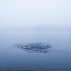Lake Megunticook 7