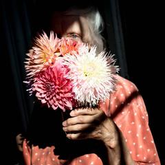 Dahlias 10