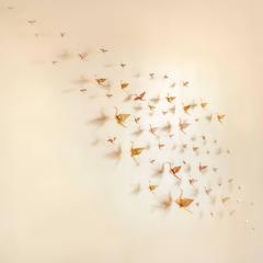 A Siege of Cranes 1