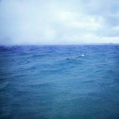 The Swimmer in the Squawl 1