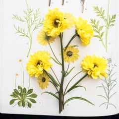 Specimens