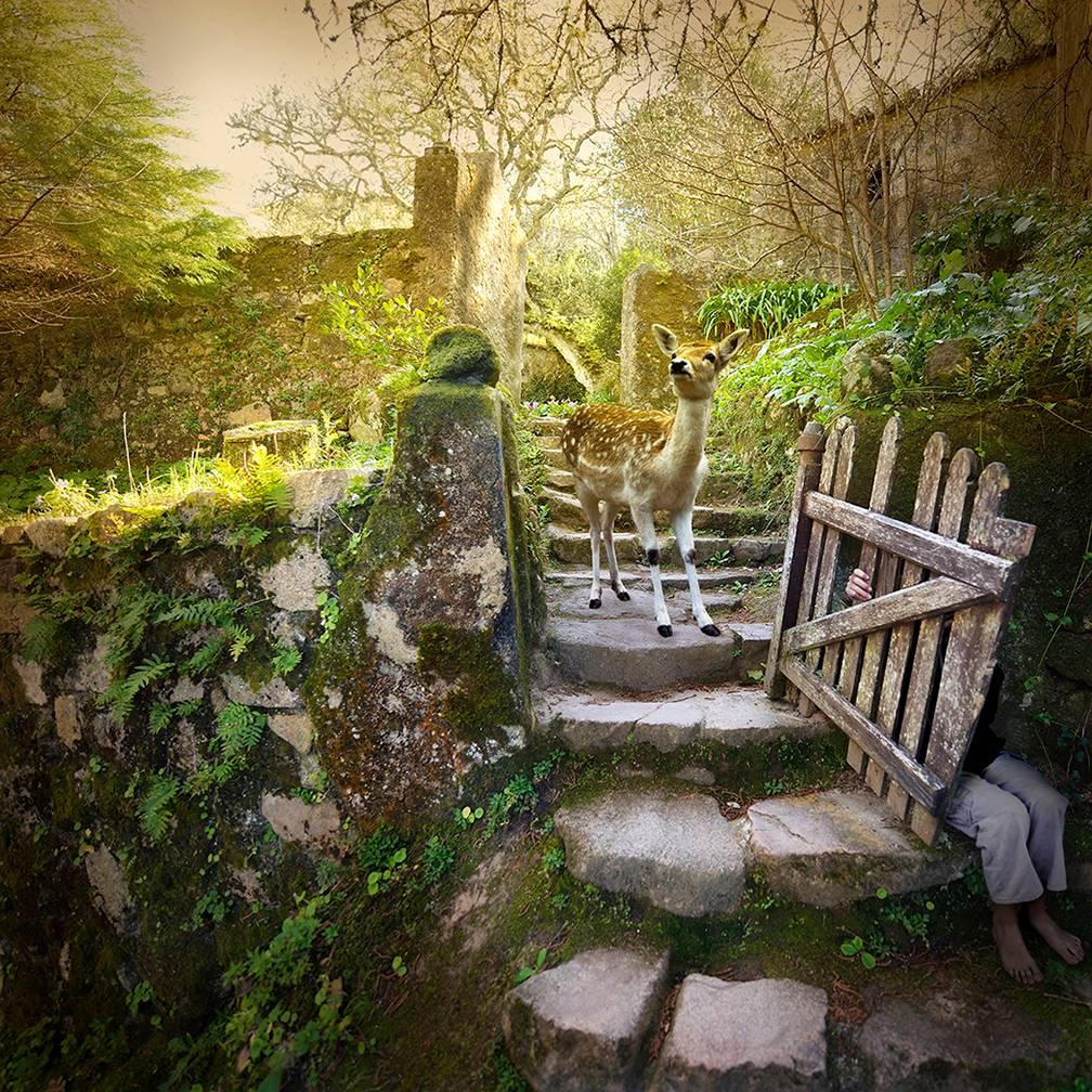 Color Photograph Tom Chambers - Le portail de jardin
