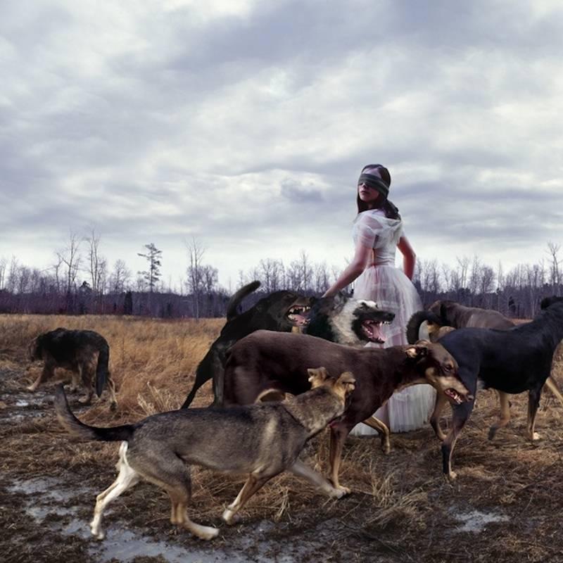 Tom Chambers Color Photograph - With the Pack