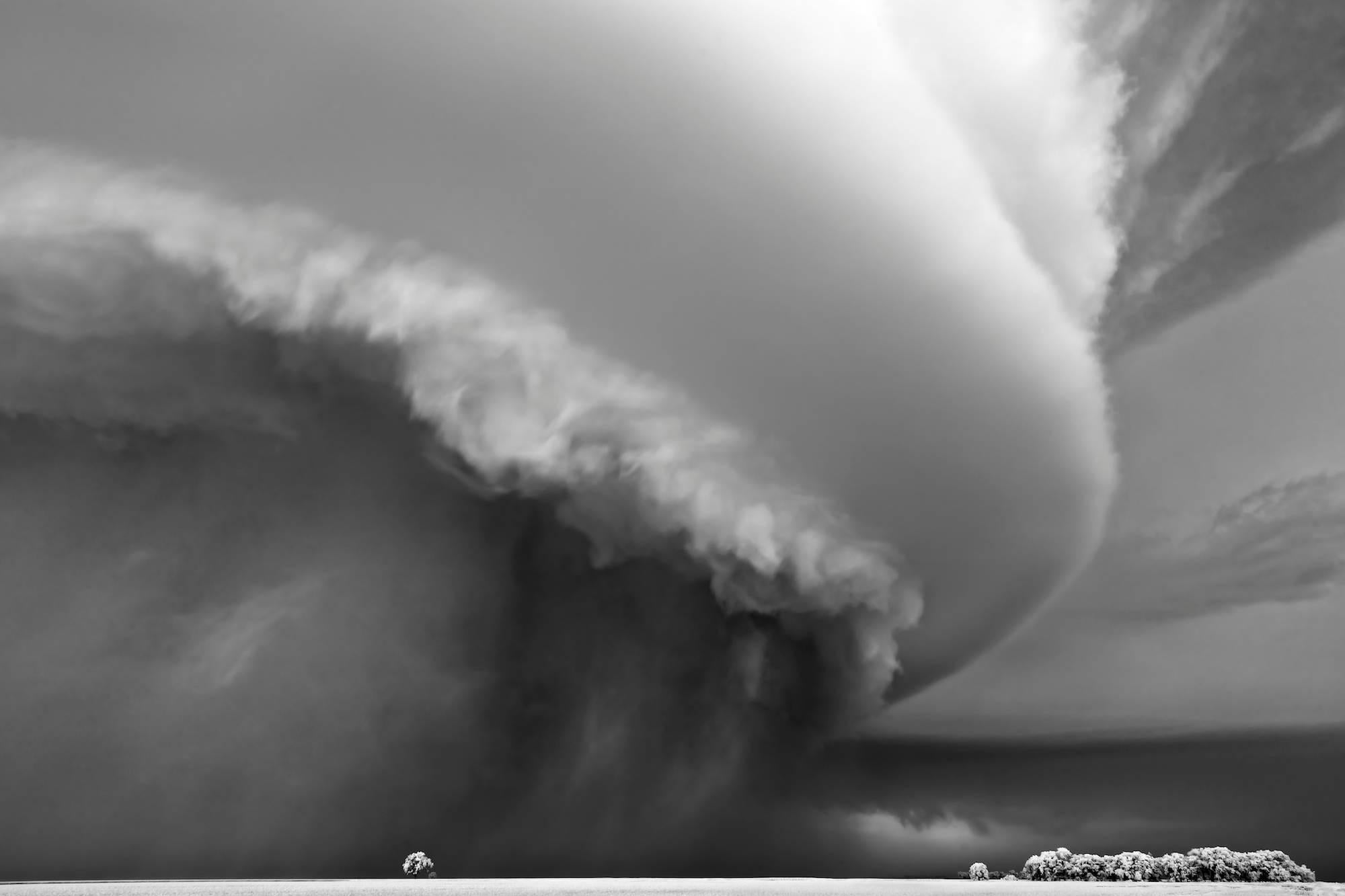 Mitch Dobrowner Landscape Photograph - Helix and Trees