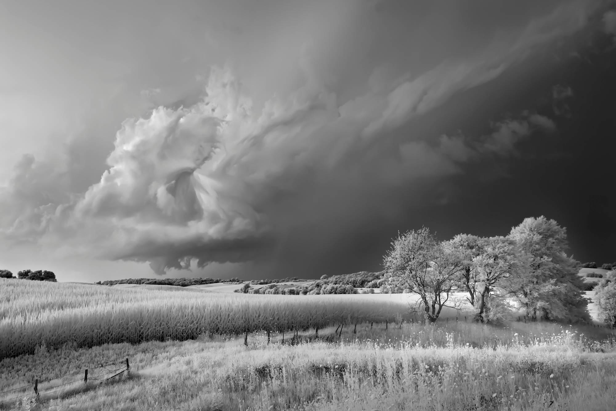 Mitch Dobrowner Landscape Photograph - Storm, Field, and Trees, landscape photograph, archival pigment print, signed 