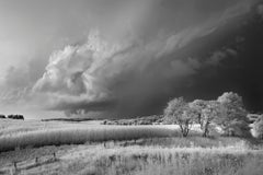 Storm, Field, and Trees, landscape photograph, archival pigment print, signed 
