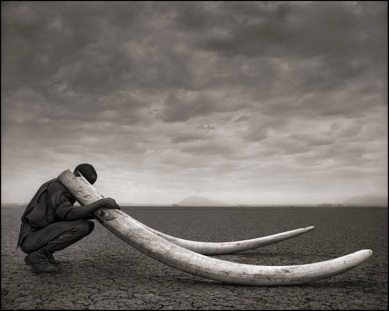 Nick Brandt Black and White Photograph - Ranger with Tusks of Killed Elephant