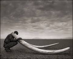 Ranger with Tusks of Killed Elephant 8