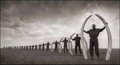Line of Rangers Holding Tusks of Killed Elephants