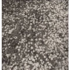 Flower Dust III 6