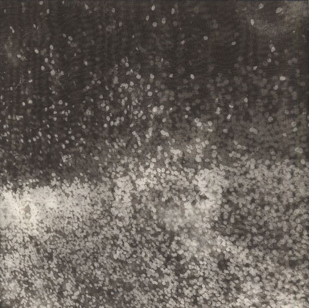 Chaco Terada Abstract Photograph – Star Dust III.