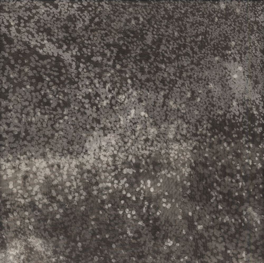 Chaco Terada Abstract Photograph - Star Dust IV, 2014