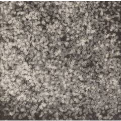 Flower Dust II 3