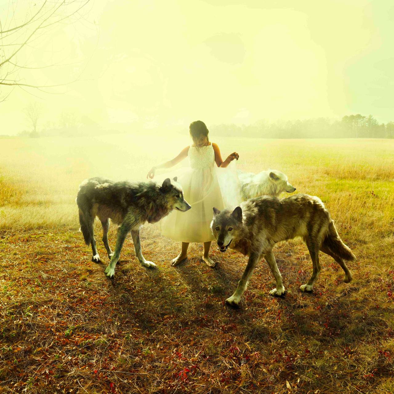 Tom Chambers Color Photograph - Middle Light