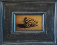 Shell, After Rembrandt