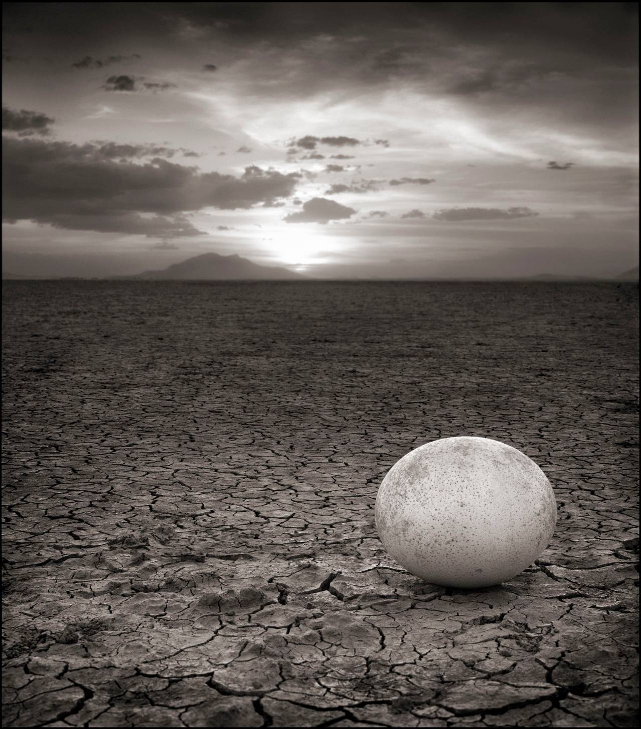 Nick Brandt Black and White Photograph - Abandoned Ostrich Egg, Amboseli 2007
