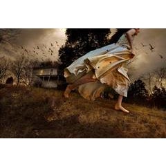 Winged Migration 3