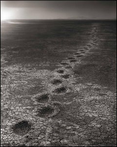 Elephant Footprints, Amboseli 2012