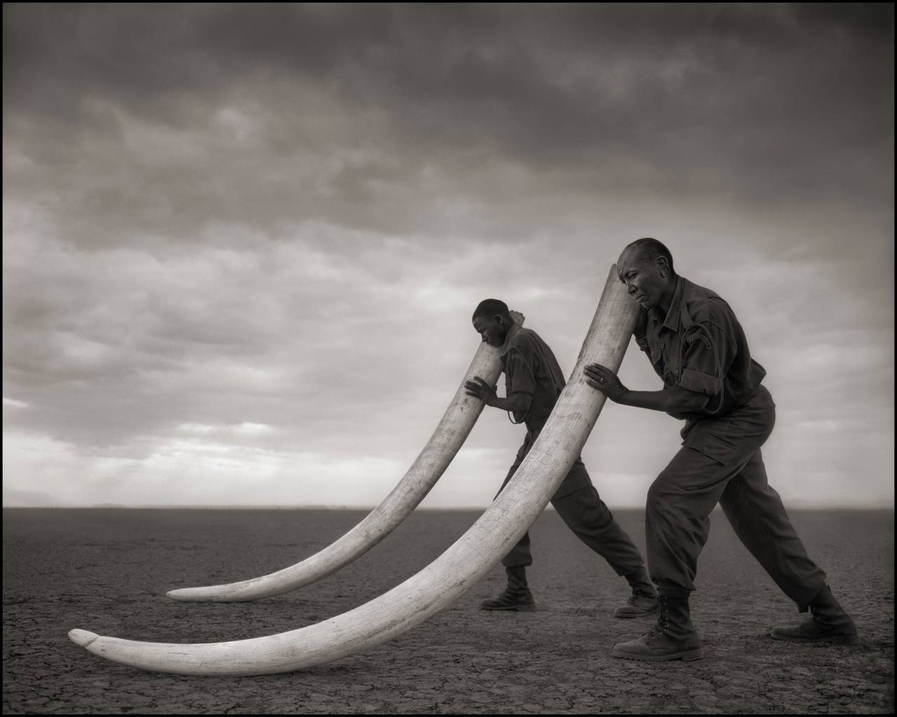 Nick Brandt Black and White Photograph - Two Rangers with Tusks of Killed Elephant, Amboseli, 2011