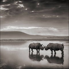 Rhinos in Lake, Nakuru 2007