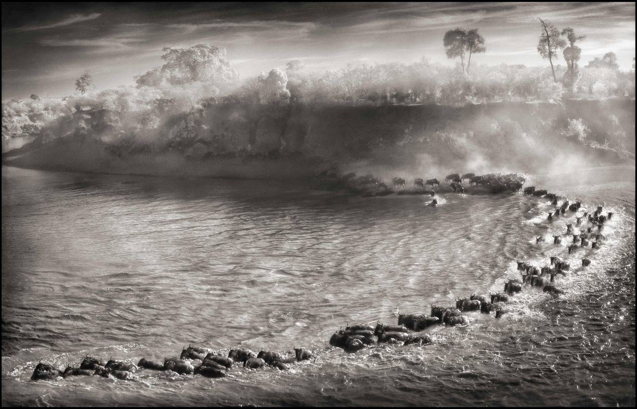 Landscape Photograph Nick Brandt - Arc du loup-garou, Maasai Mara, 2006