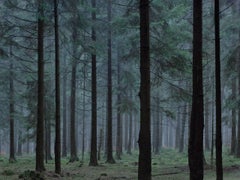 WALD 0252