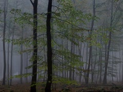 WALD 2504