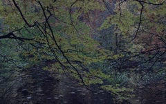 WALD 0299, Neuf dans sa boîte