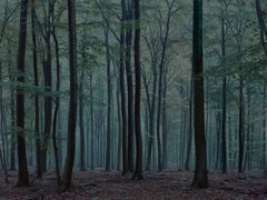 WALD 0172