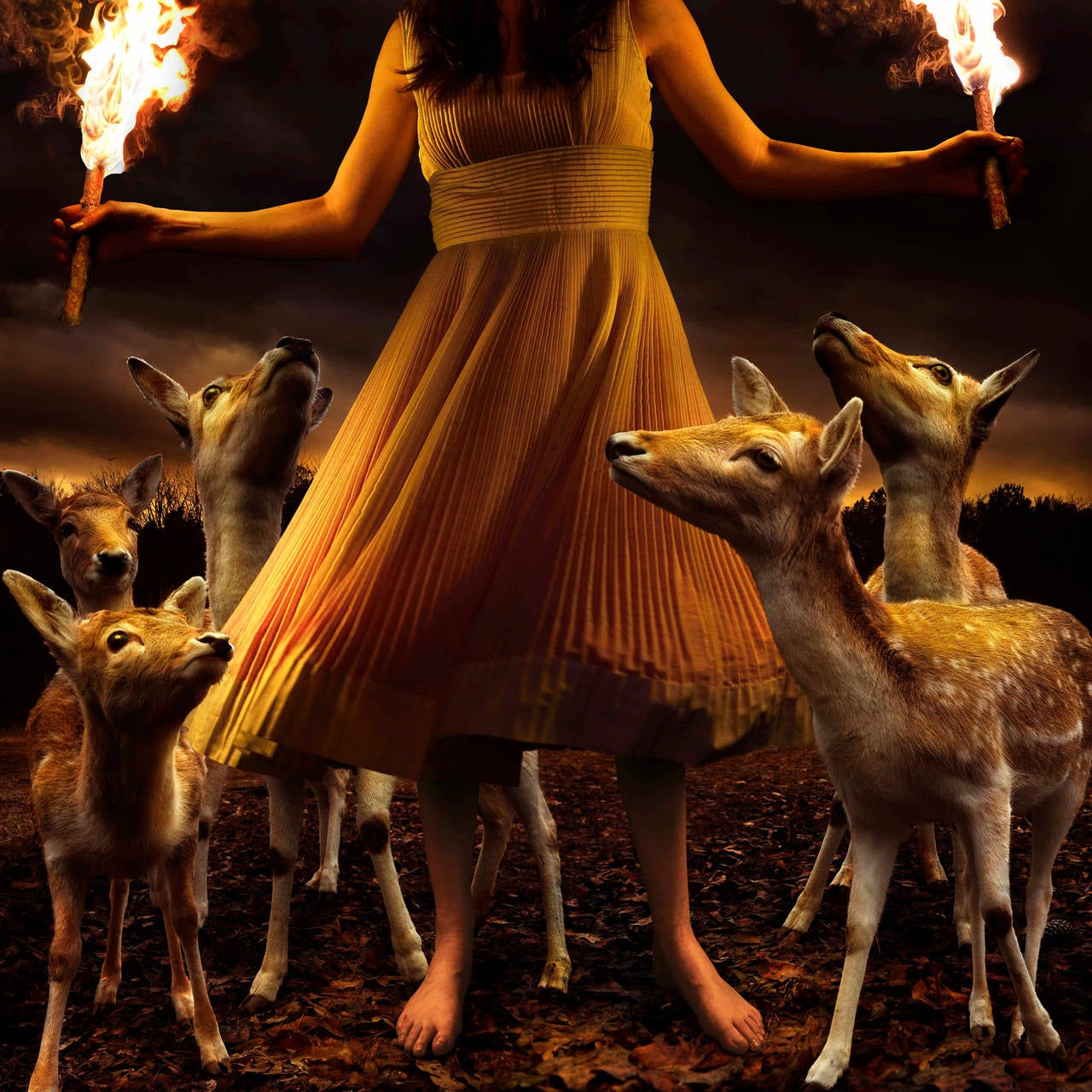 Tom Chambers Color Photograph - Burn to Shine, limited edition photograph, archival pigment, signed and numbered