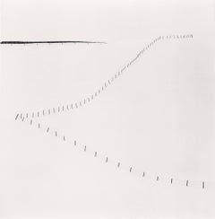 Hillside Fence, Study 6, Teshikaga, Hokkaido, Japan. 2007, black and white photo