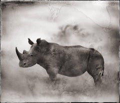 Nick Brandt - Rhino In Dust, Lewa Downs Rhino In Dust, Lewa Downs