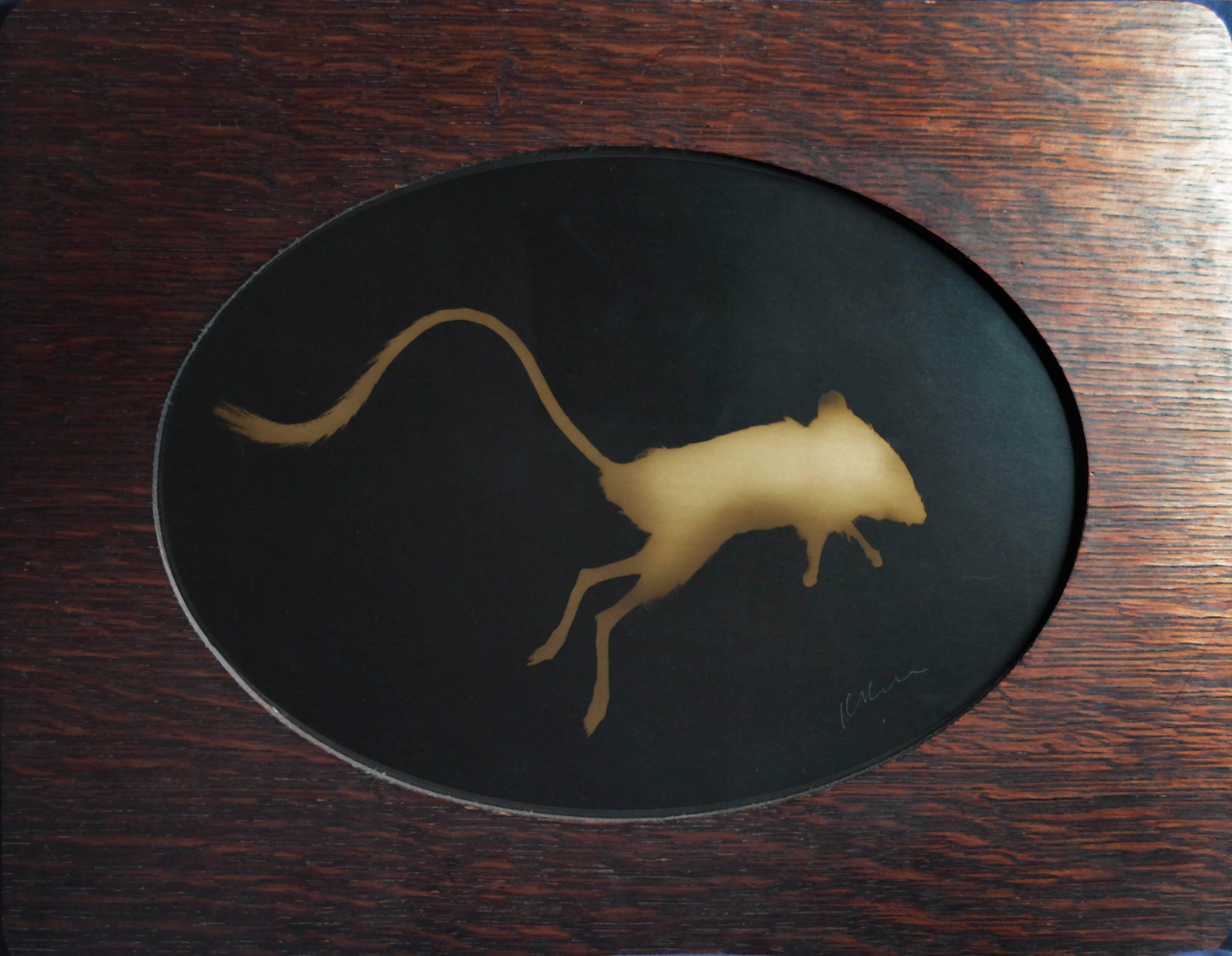 Black and White Photograph Kate Breakey - Rat Kangourou-rouge