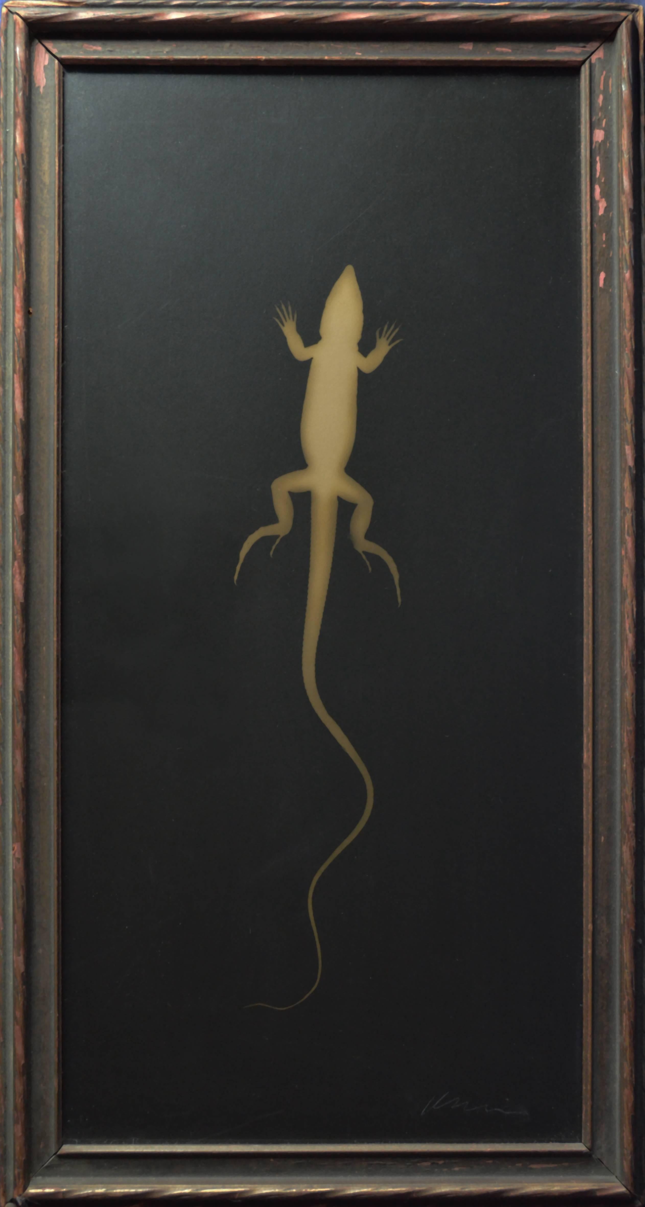 1:12 scala in ceramica Gecko Lizard Decorazione Giardino tumdee Casa delle Bambole Accessorio C 
