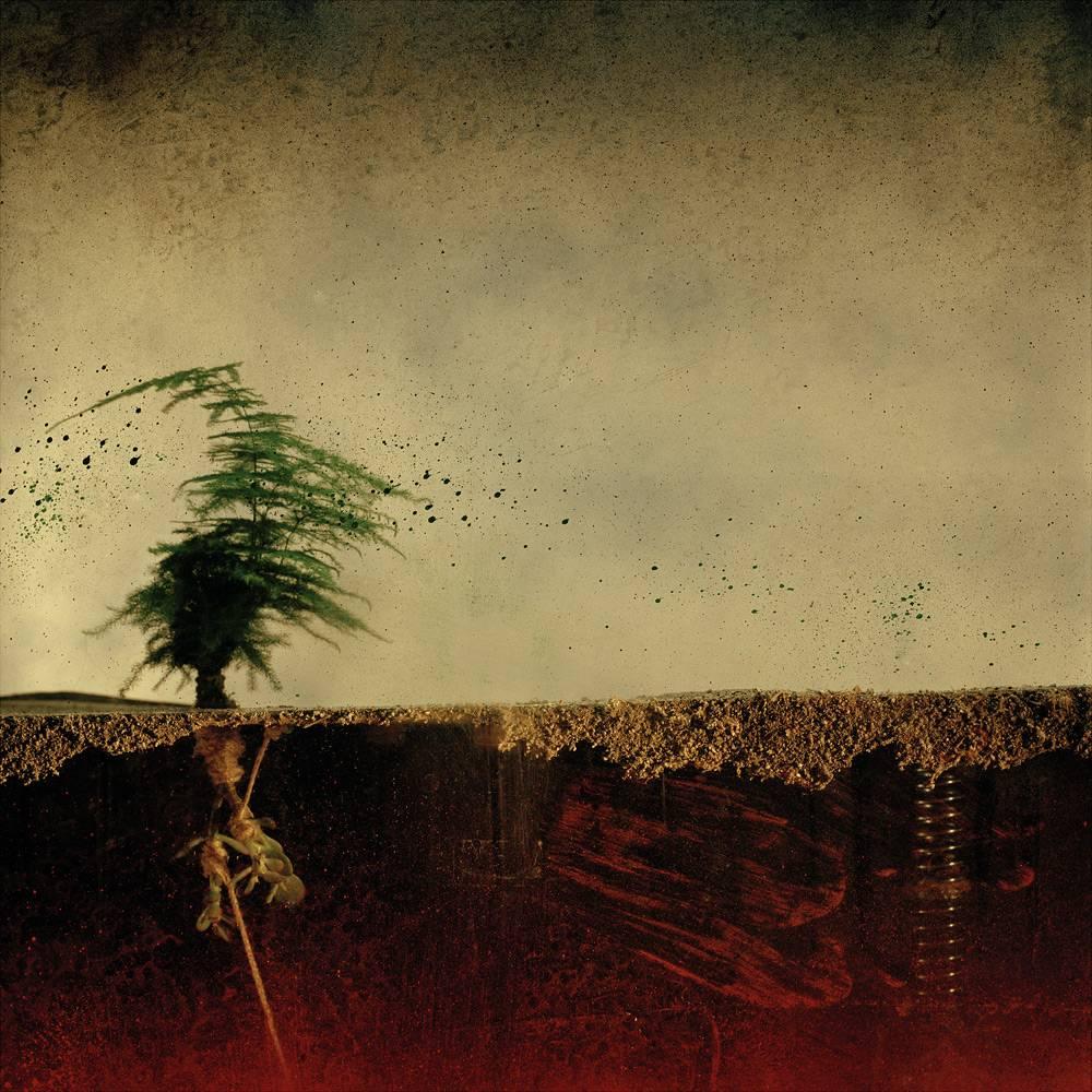 Still-Life Photograph de Carlos Tarrats - Sin título 15