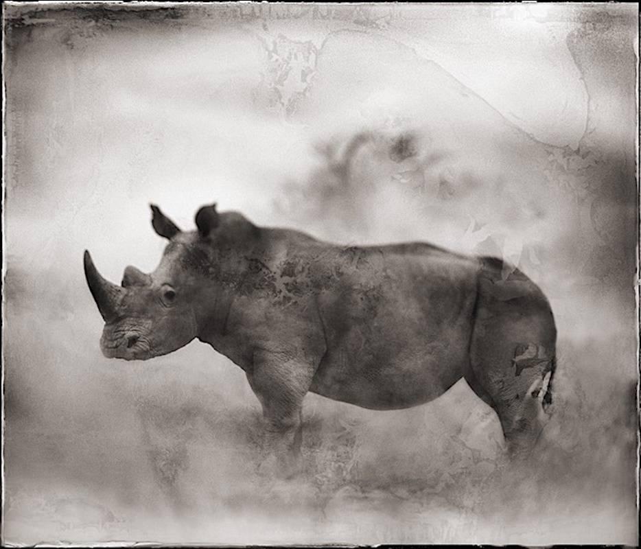 Black and White Photograph di Nick Brandt - Rinoceronte in polvere, Lewa Downs