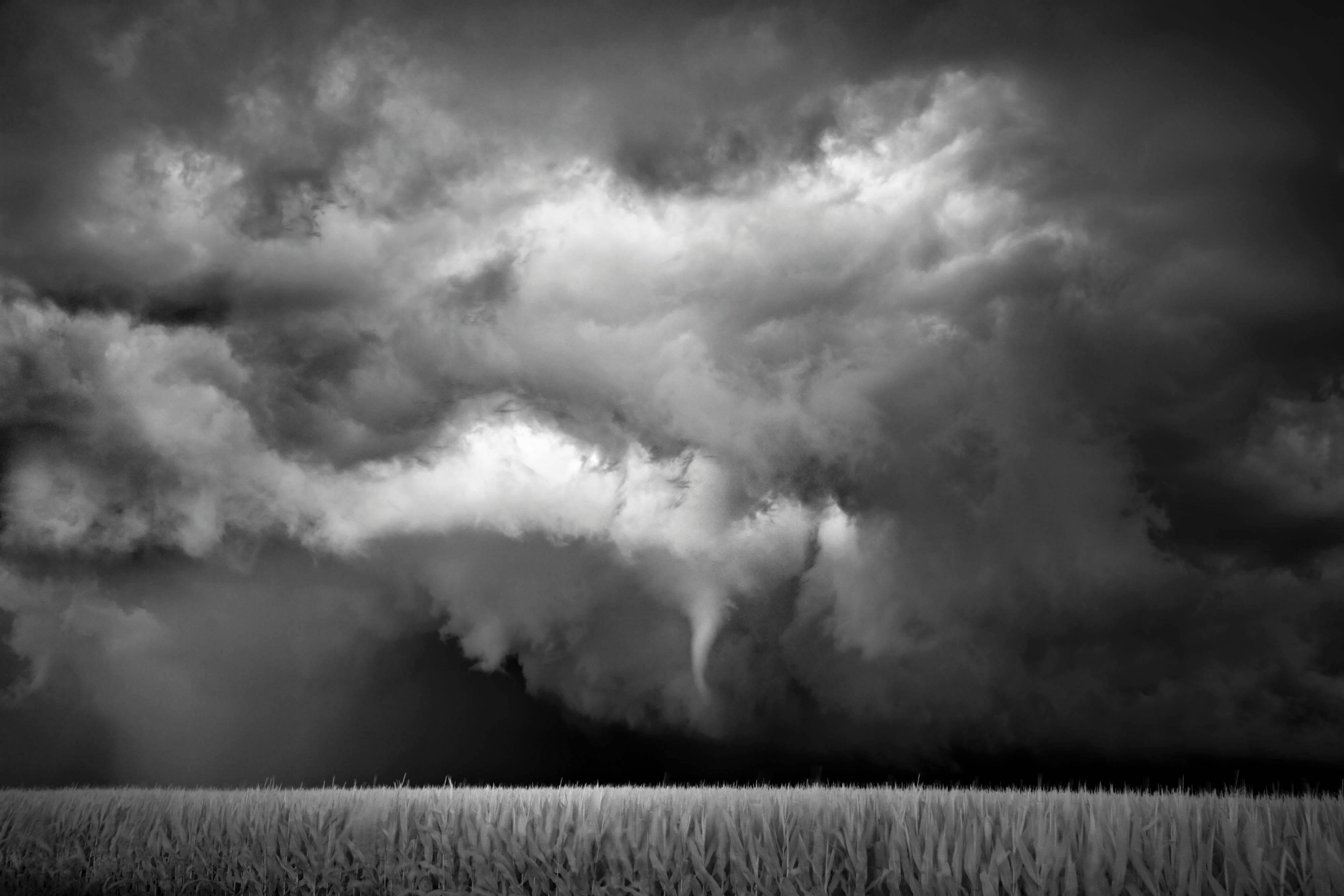 Mitch Dobrowner Landscape Photograph - Funnel–Cornfield, limited edition photograph, signed, archival pigment ink