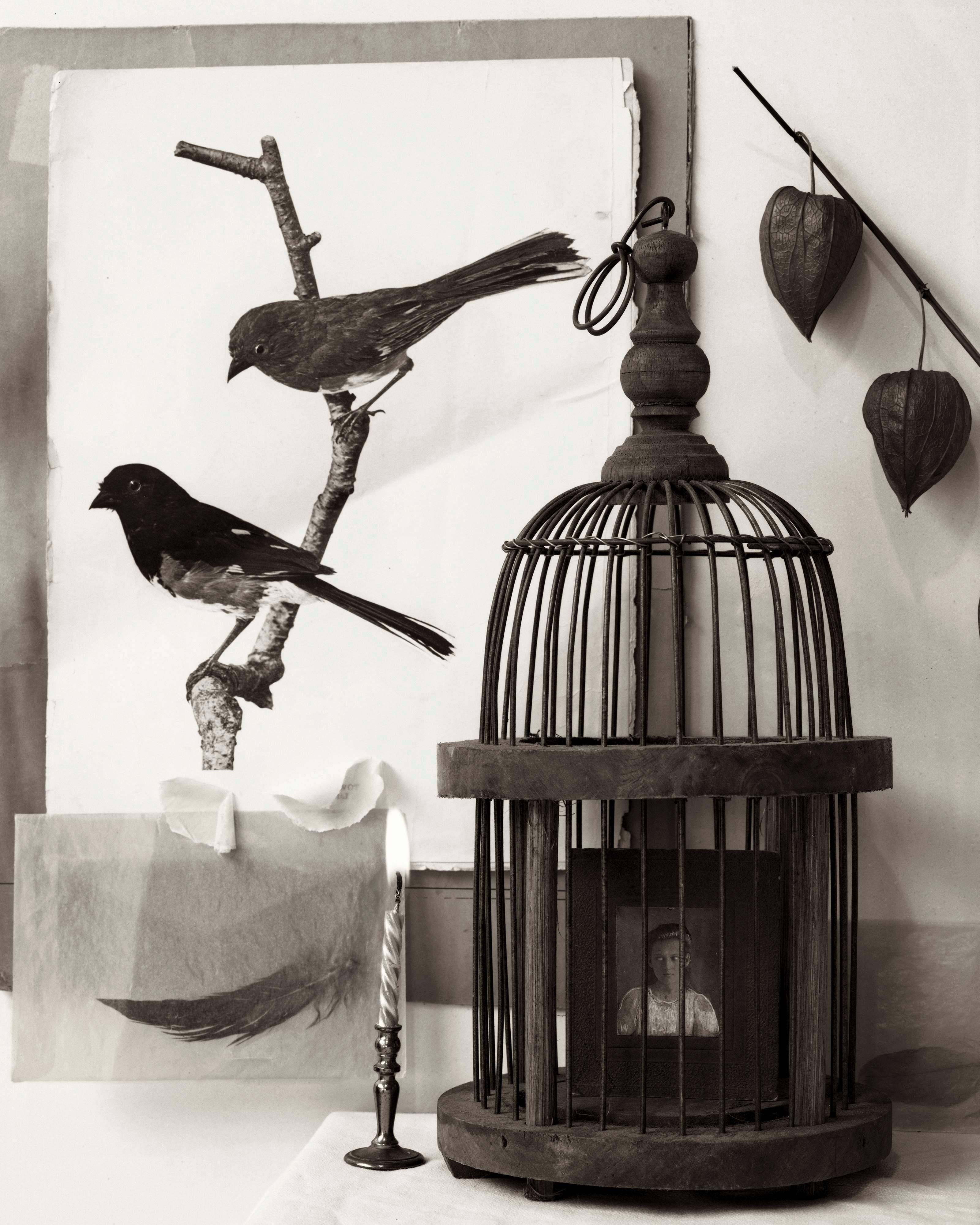Zoë Zimmerman Black and White Photograph - Two Birds, Cage