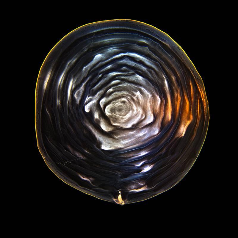 Ernie Button Abstract Photograph - The Macallan 136, limited edition color photograph, signed and numbered