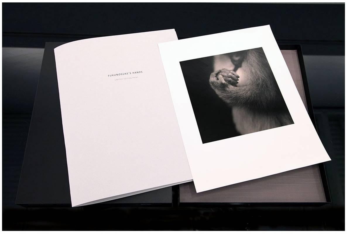 SUO SARUMAWASHI Foto-eye Editions-Portfolio, Deluxe Edition – Photograph von Hiroshi Watanabe