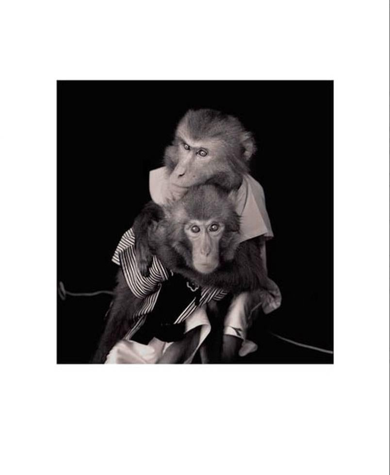 SUO SARUMAWASHI – photo-eye Editions portfolio, Deluxe Edition - Black Black and White Photograph by Hiroshi Watanabe