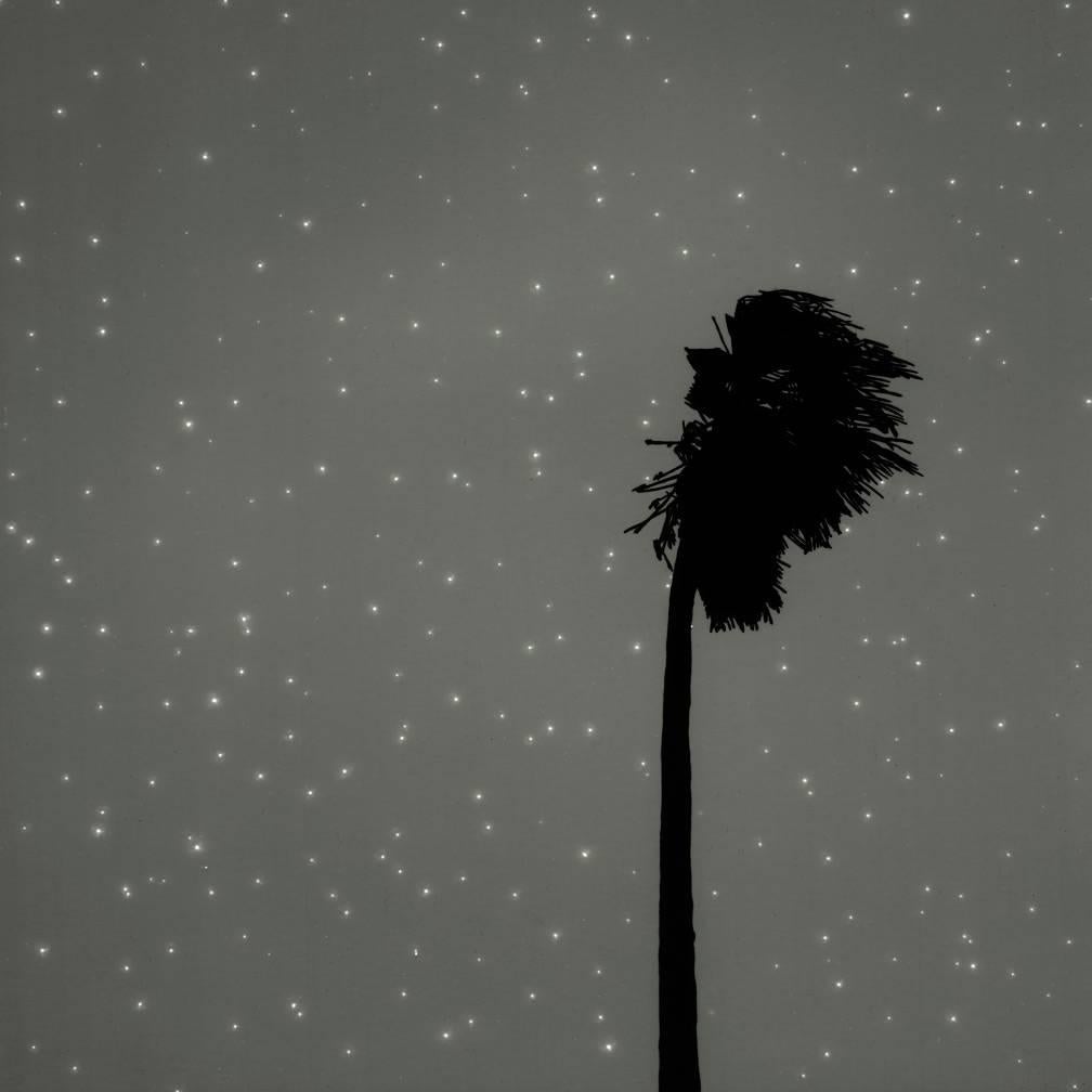 Landscape #17